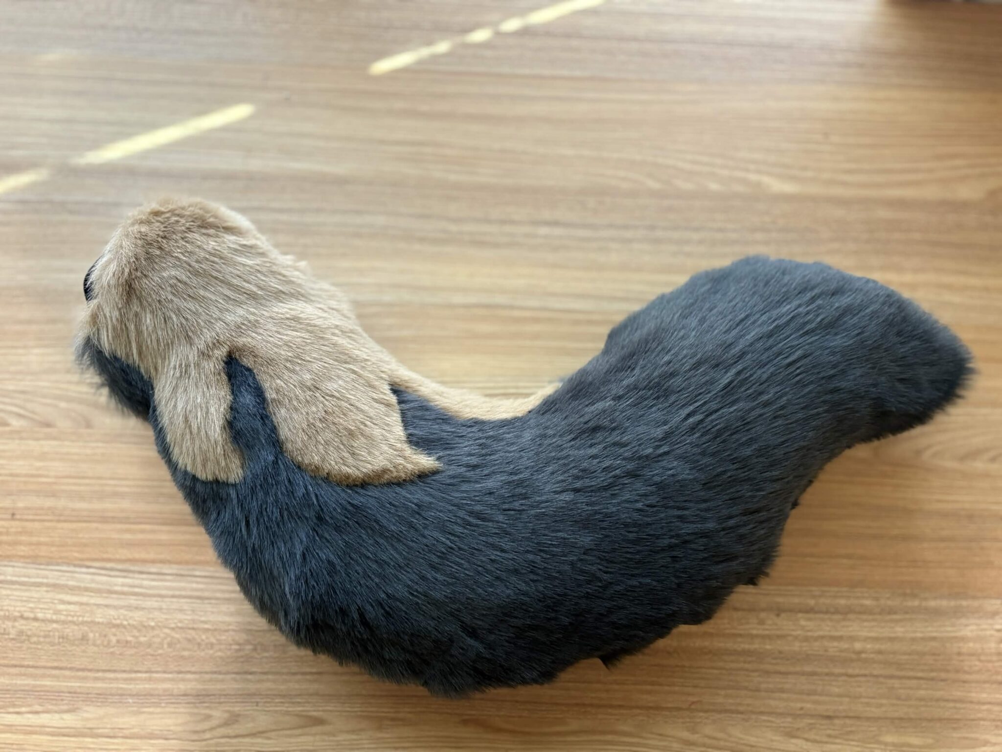 Maia Tail