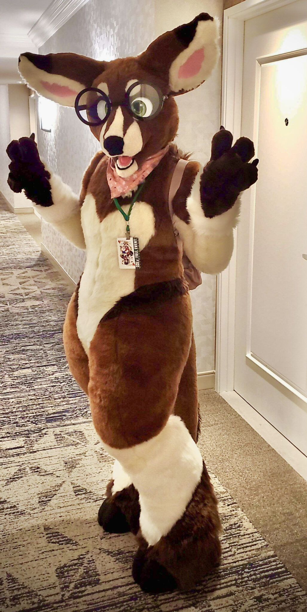 Zinkari Full Suit