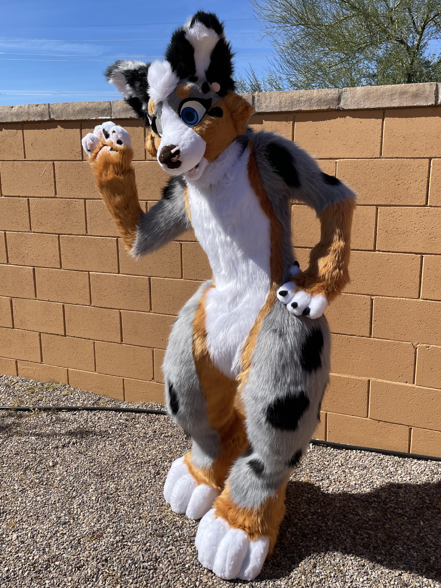Zuri Full Suit